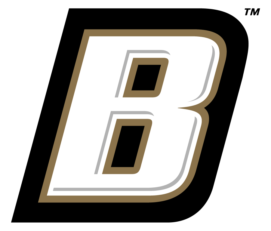 Bryant Bulldogs 2004-Pres Secondary Logo iron on transfers for clothing
